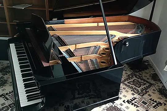 Piano Mover - Removal Service